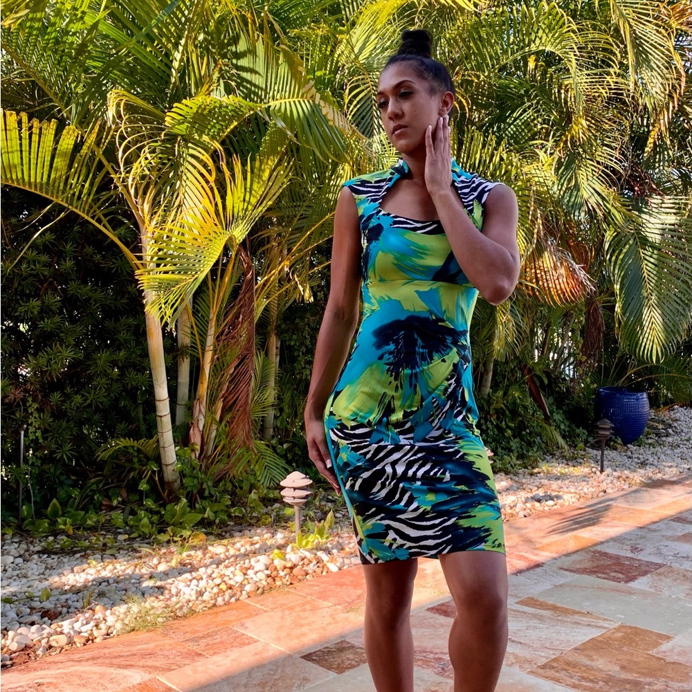 Frank Lyman “Grand Cayman” Dress - Size 4